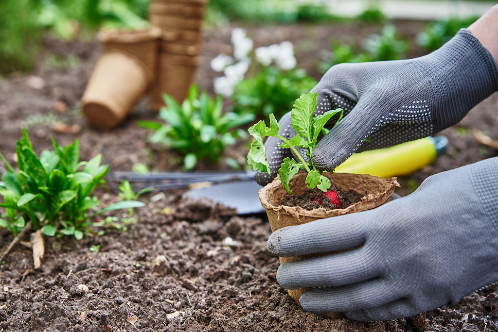 Prace ogrodowe – przepisy, które powinniśmy znać